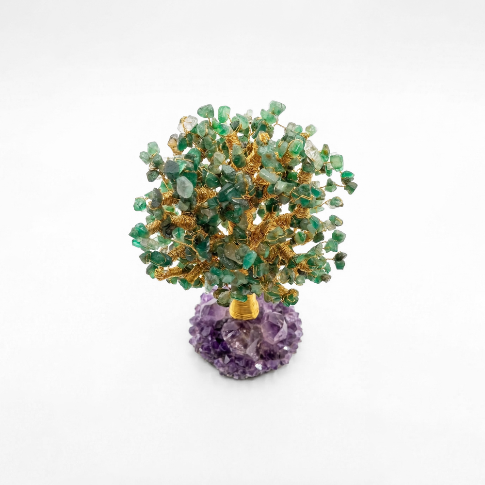 El árbol de Carmen - El árbol de la sabiduría