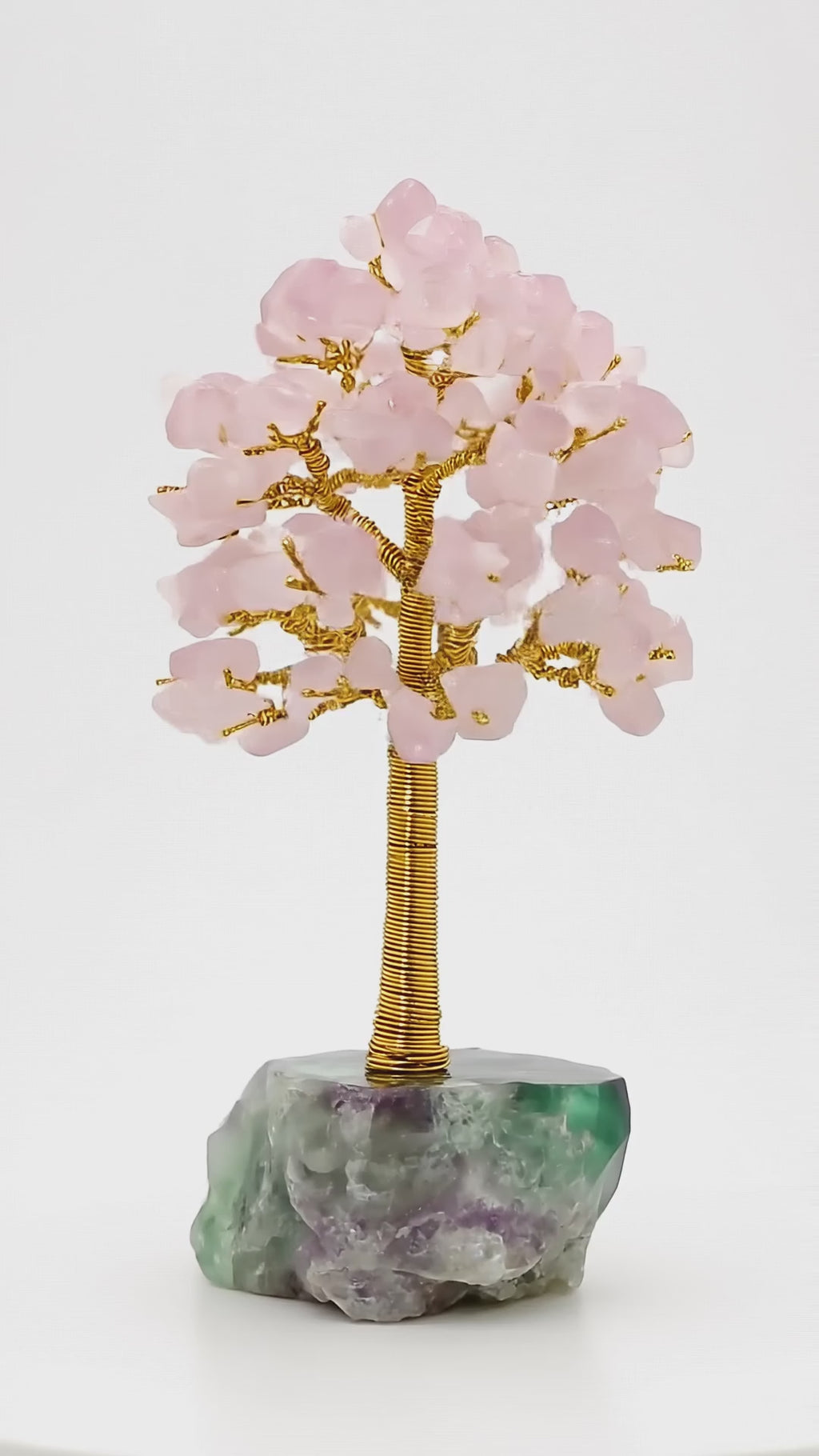 The Dream STILL Tree