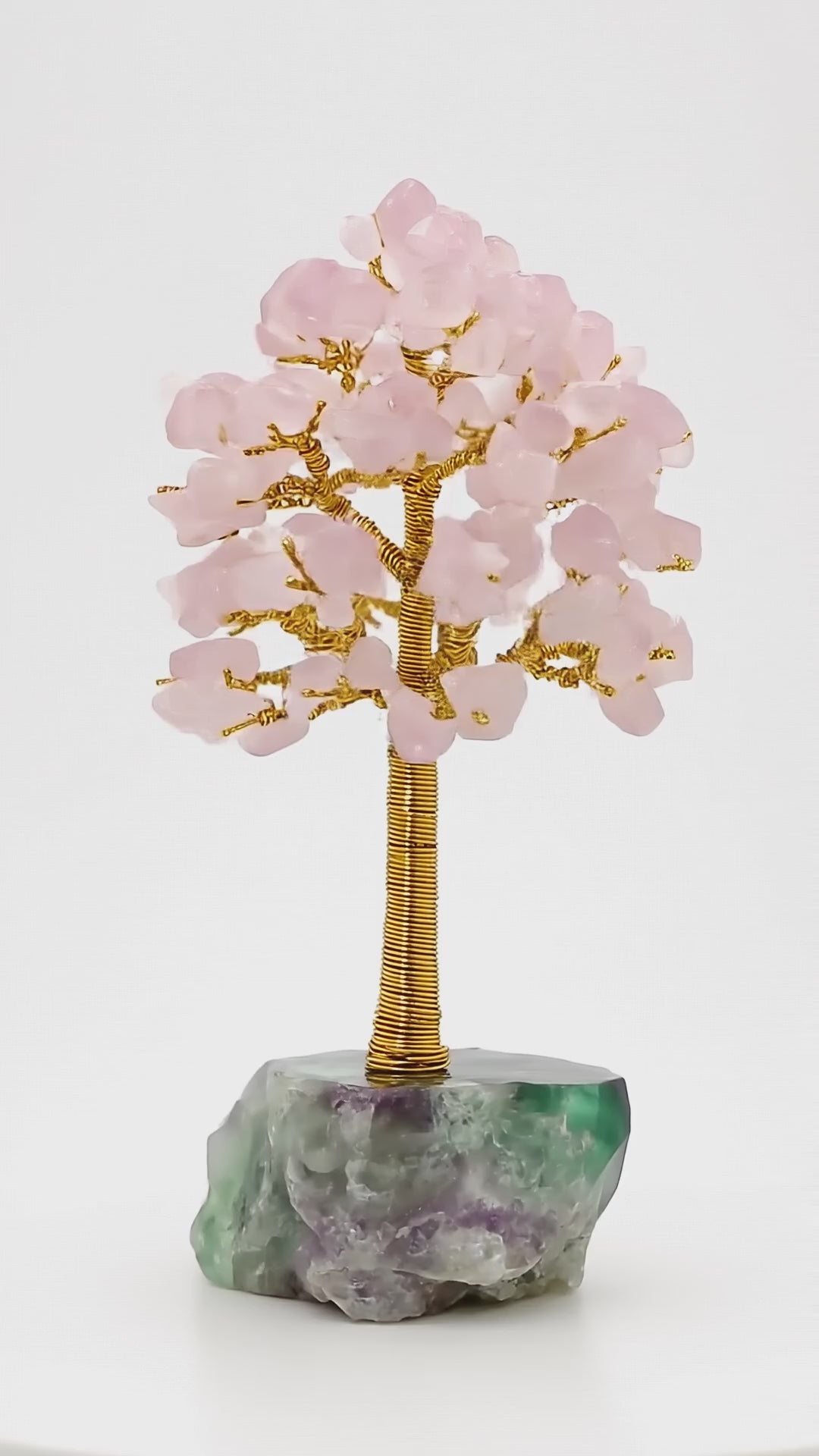 The Dream STILL Tree